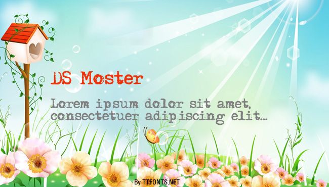 DS Moster example